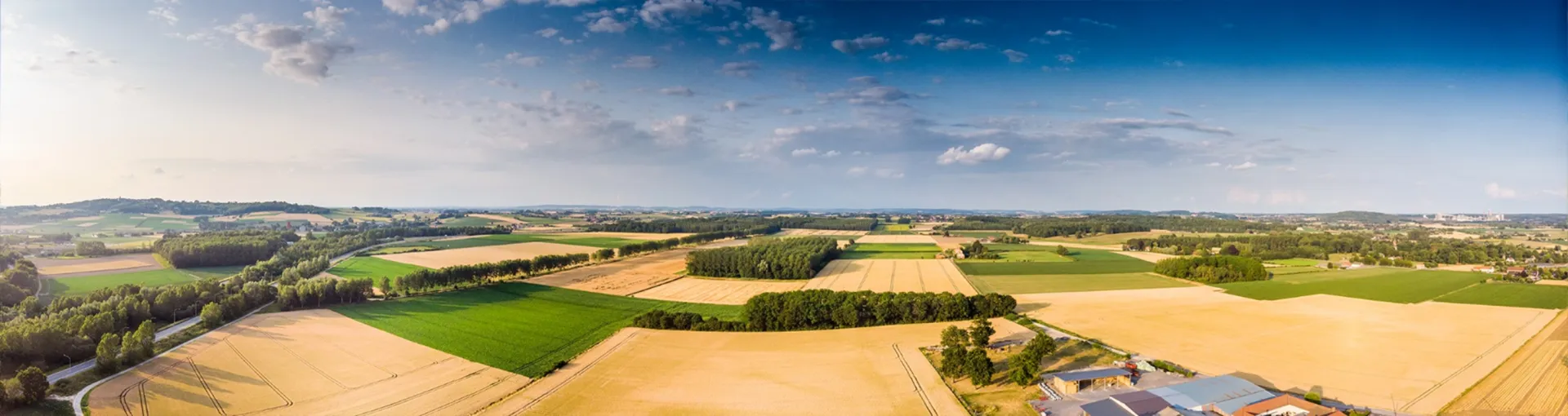 Paysage de Champs