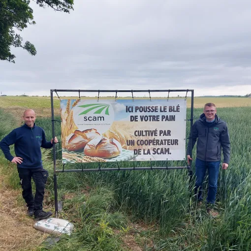 Bâche pour la campagne du blé panifiable
