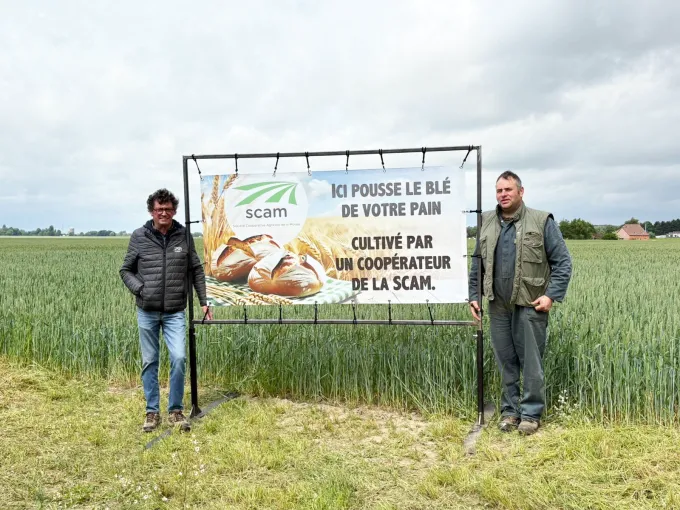Bâche pour la campagne du blé panifiable