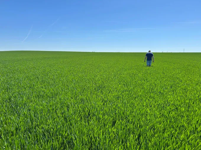 Un conseiller agronome dans un champs