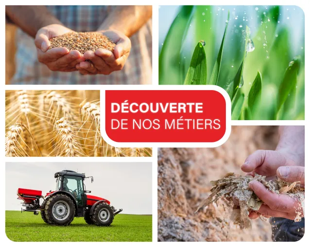 visuel avec les images de nos cinq lignes produits : céréales, semences, engrais, produit phytosanitaire, aliment pour le bétail